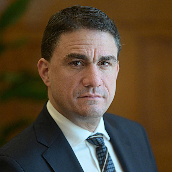 Επίσημο πορτρέτο του Κώστα Τσουκαλά.